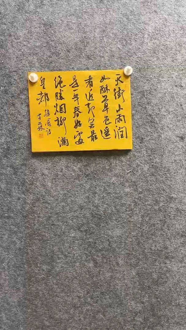 书法安世林老师作品