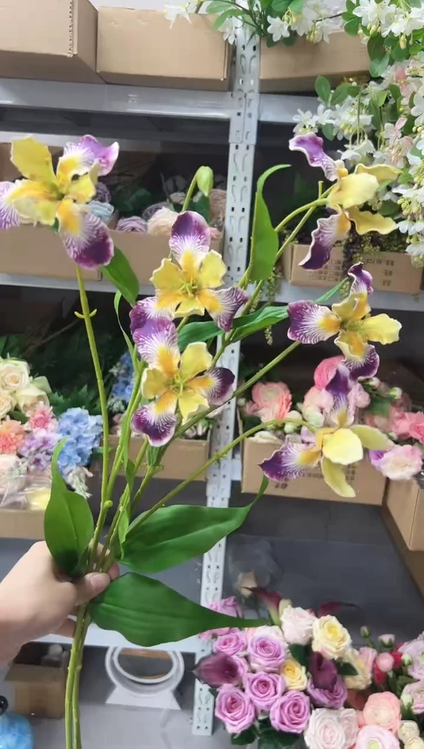 2枝紫黄鸢尾花花