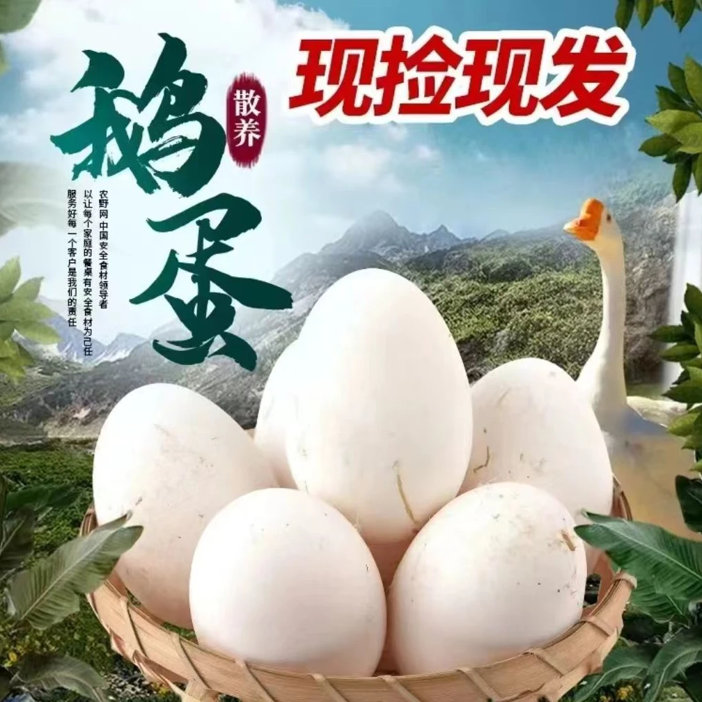 买6枚送6枚 正宗散养土雁鹅蛋 现捡现发 樱桃谷蛋A