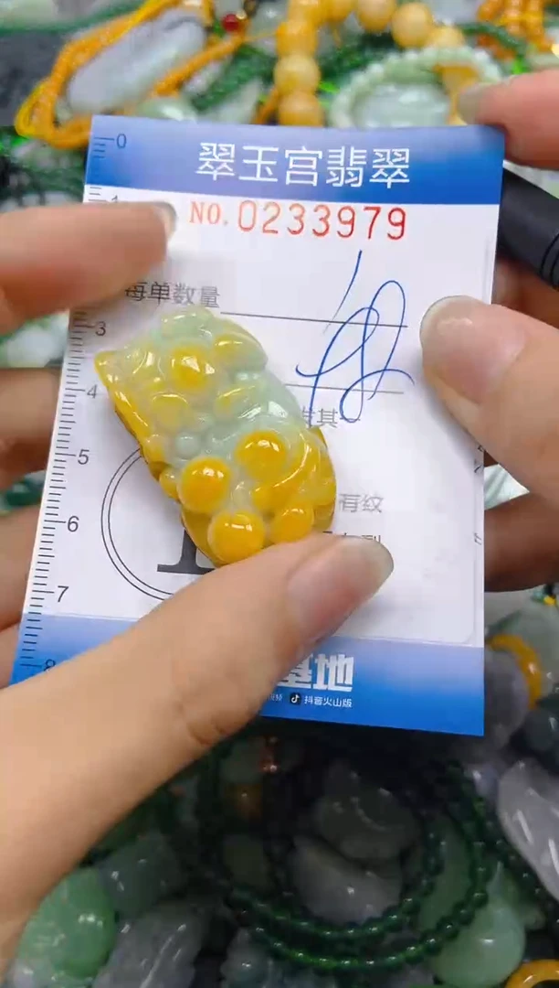 颈饰未镶嵌翡翠闪购C0233979