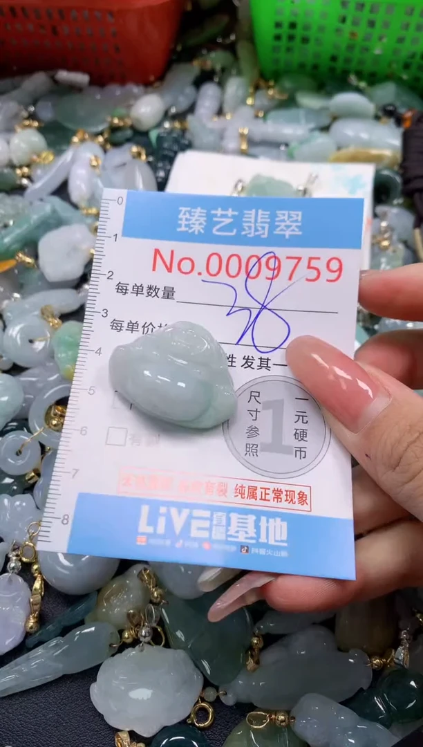 翡翠未镶嵌吊坠(不含链)9759