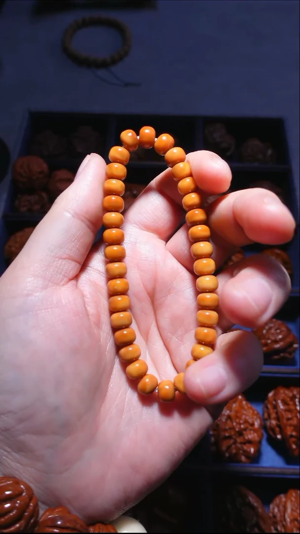 手串菩提根/象牙果7.6*5.7老料龙脊菩提单圈