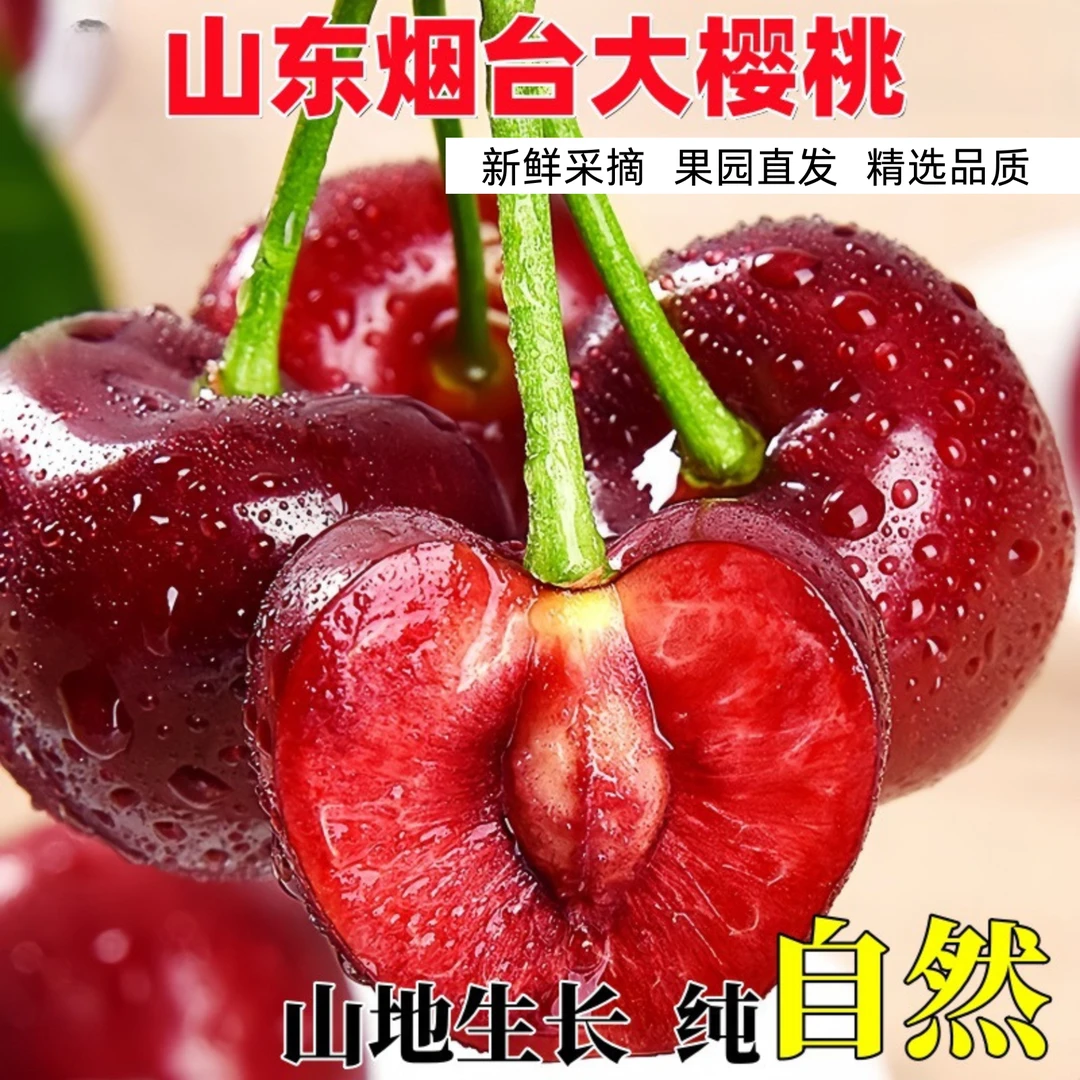 山东美早樱桃J-JJ23-28mm中果带箱4斤空运