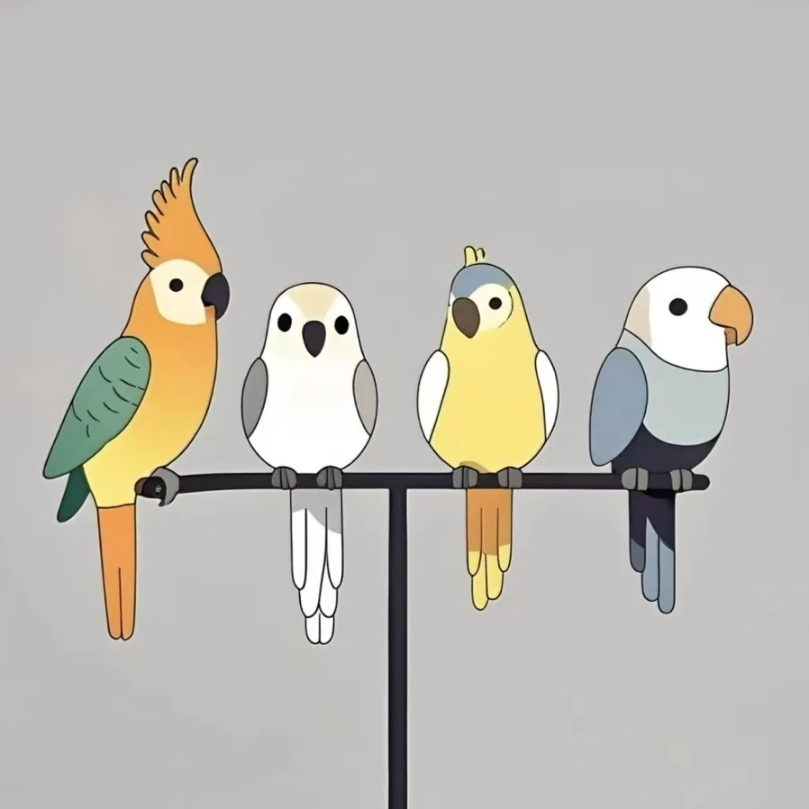 手养亲人可学技能能互动的活体鹦鹉雏鸟宠物