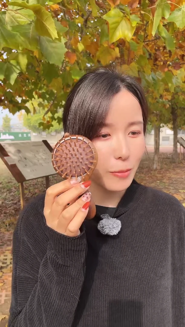 乌木类009木木梳子木木