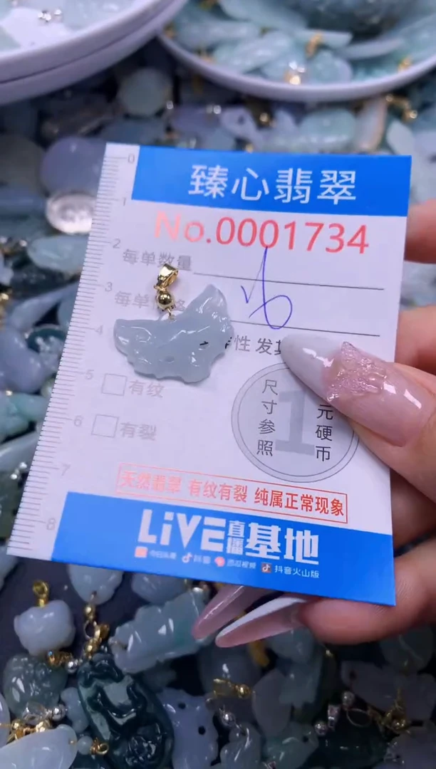 翡翠未镶嵌吊坠(不含链)1734