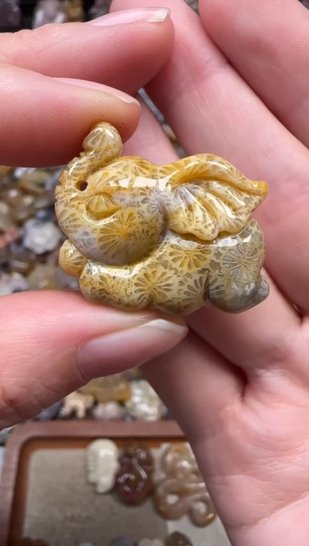 颈饰未镶嵌硅化珊瑚（珊瑚玉）175