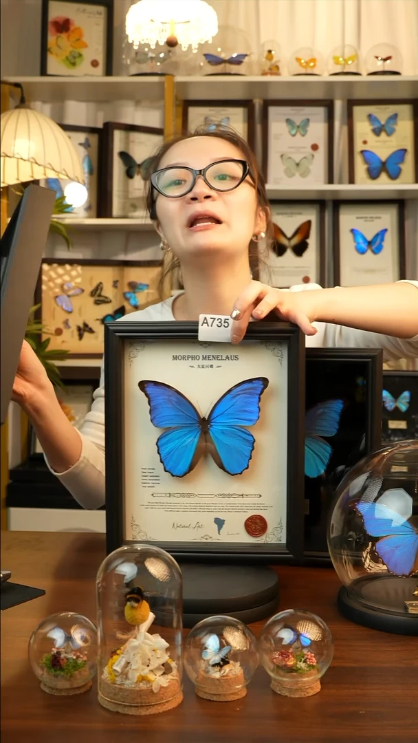 大蓝闪蝶-英文（10寸欧式黑框）A735