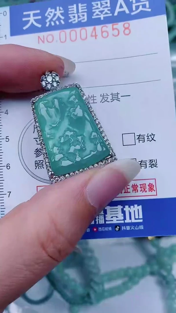 翡翠未镶嵌颈饰00004658