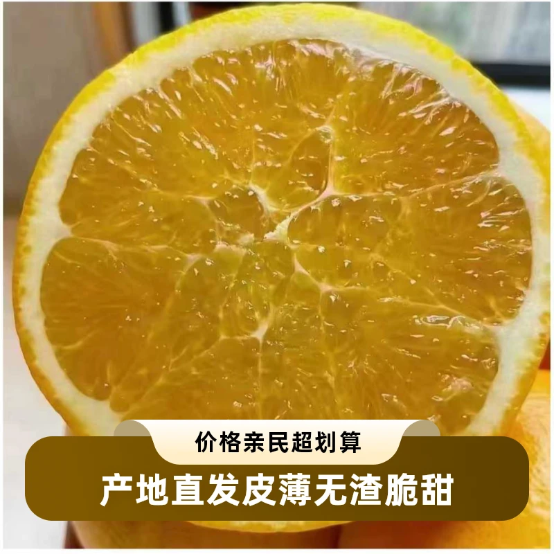 福建无籽脐橙新鲜带叶当季水果香甜多汁中国