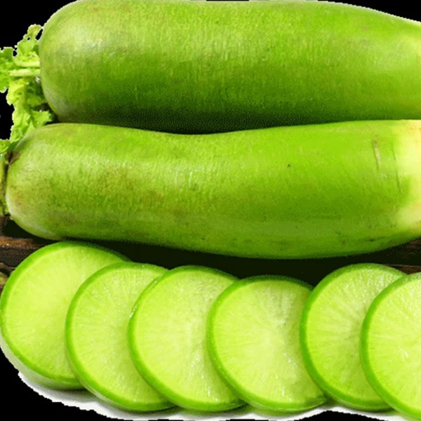 绿萝卜450g-500g/份