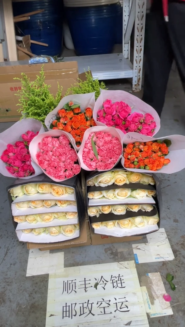 香槟20枝+粉康20枝+橙色芭比10枝+苏菲10枝+黄莺