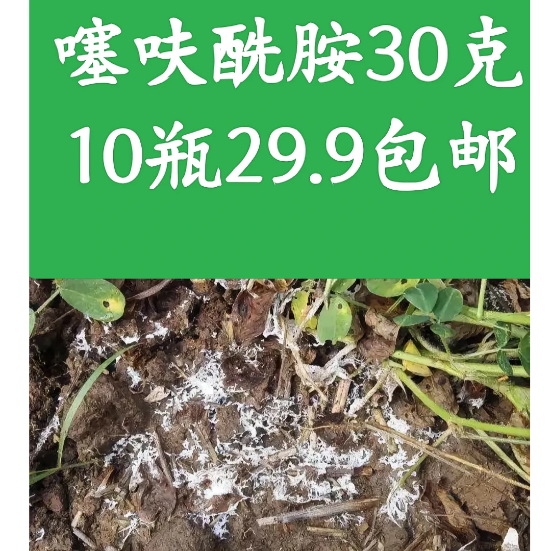 噻呋营养液十瓶包邮到家喷施产品