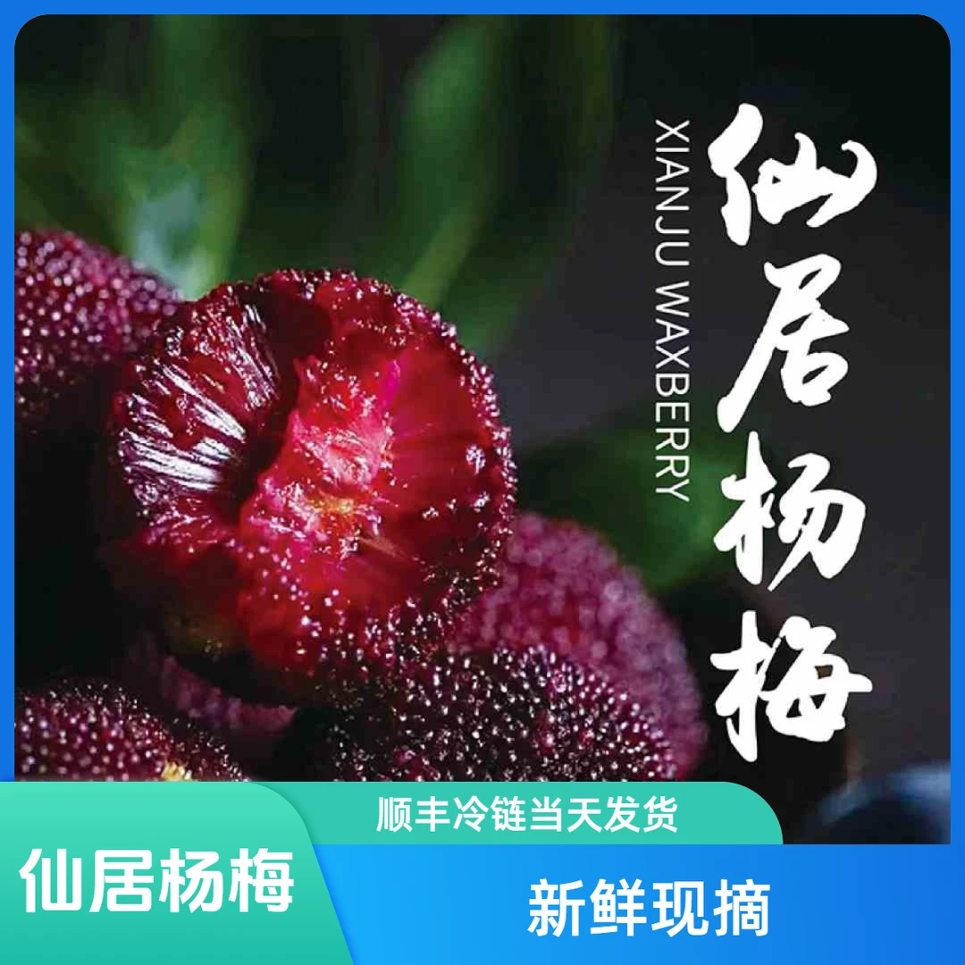 【仙居树熟东魁杨梅】仙居东魁杨梅【颗粒包装】/江浙沪顺丰次日达/今拍明到/当天摘当天发新鲜现摘浙江省