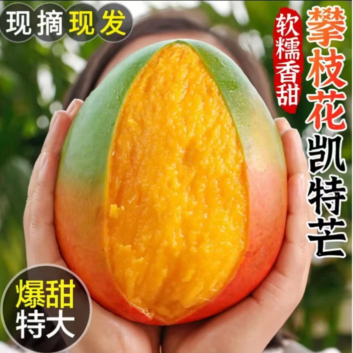 【10斤补贴】四川攀枝花凯特芒果新鲜应季水果包邮大脸芒果整箱新p