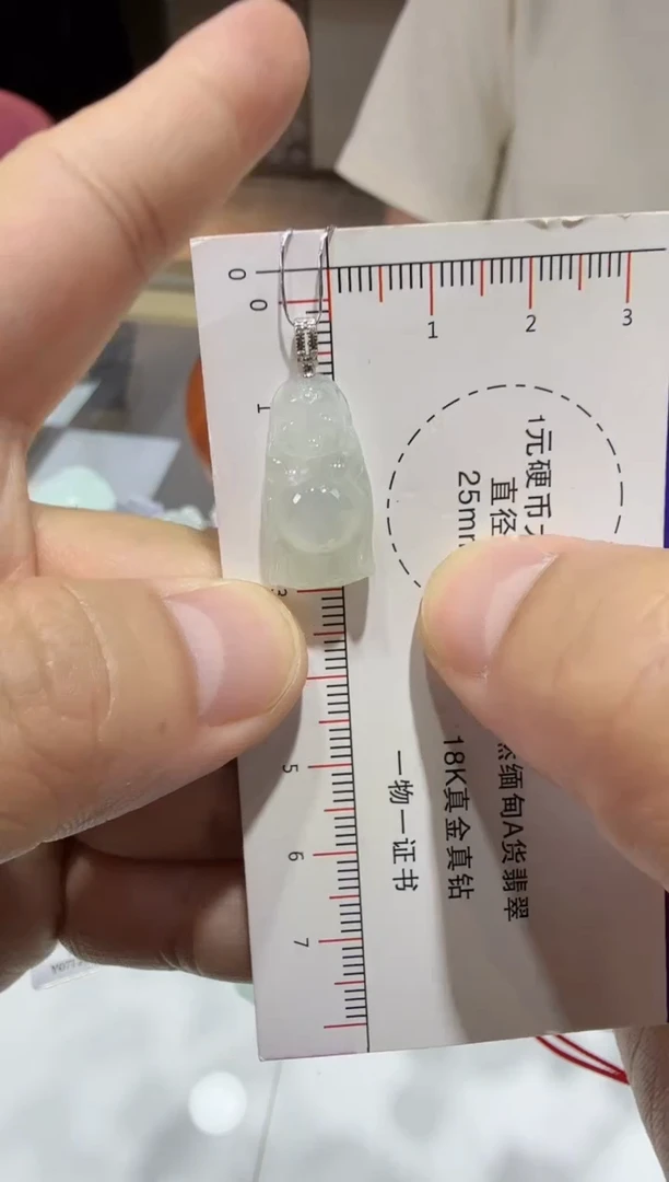 【闪购商品】翡翠吊坠(赠链)18K金镶嵌01-企佛 多样性发其一