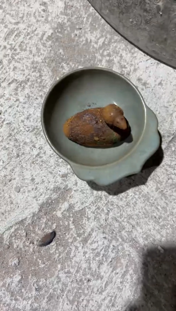 瓷器瓷器瓷器瓷器52