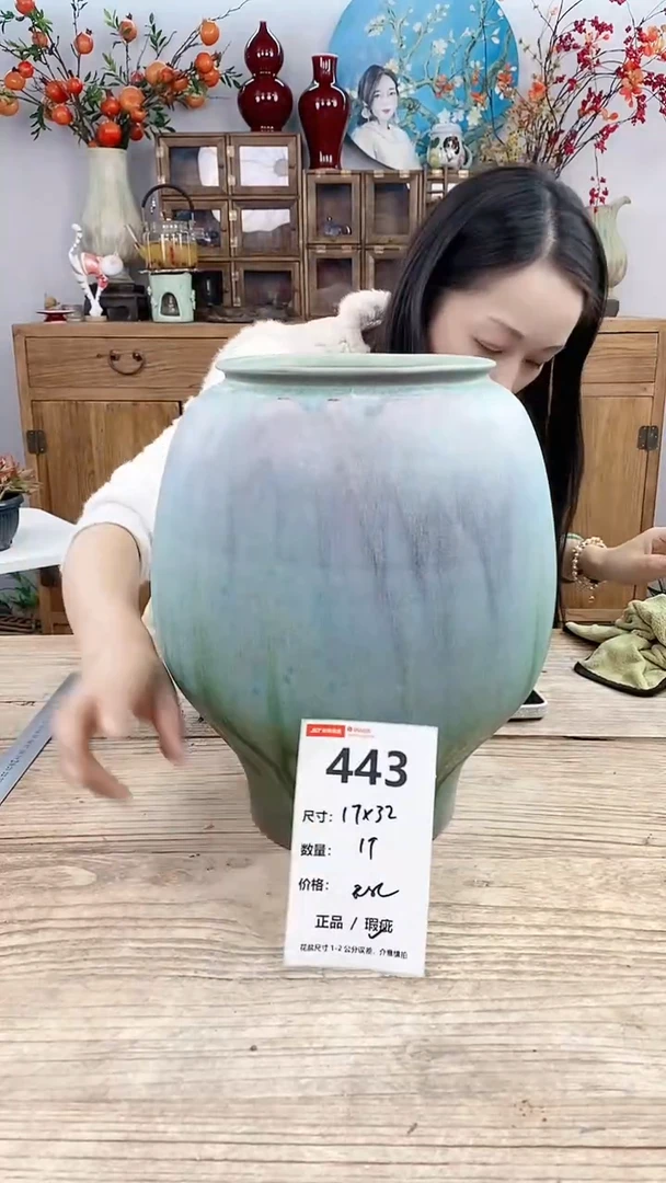 【闪购商品】红陶443