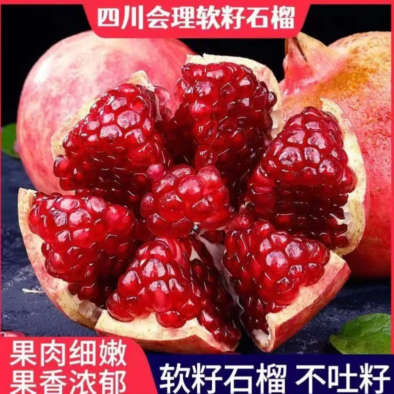 【到手6个 彩箱装】正宗四川会理软籽石榴新鲜应季水果皮薄肉甜