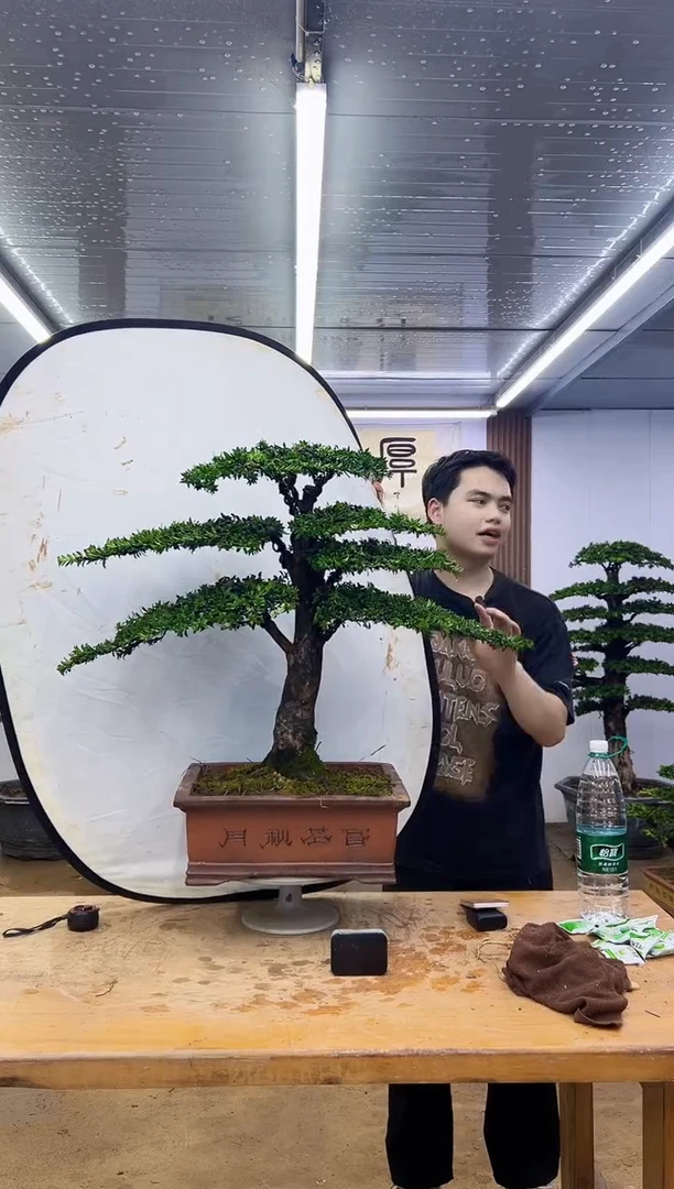 无花朵00000000000