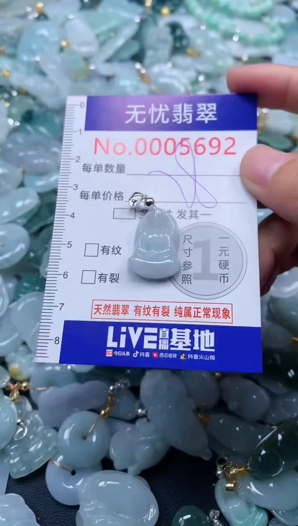 颈饰未镶嵌翡翠5692