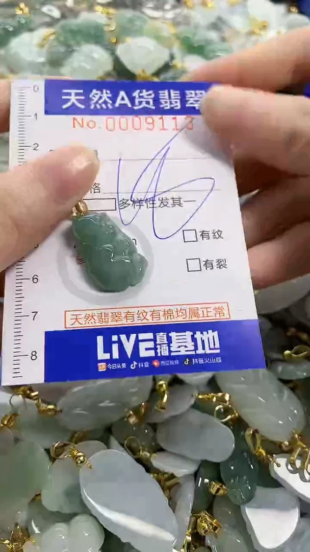 颈饰未镶嵌翡翠天然A货翡翠