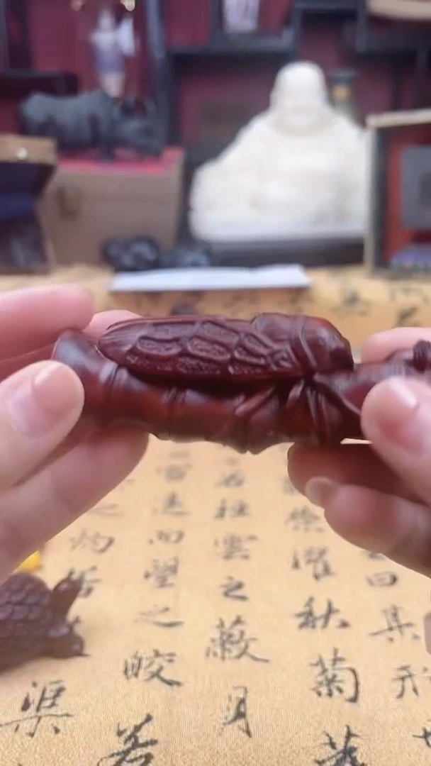 【闪购商品】南乔心意专属链接