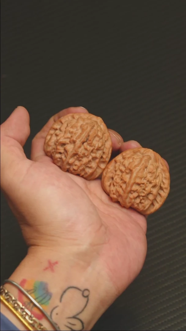 2025核桃季精品三角白42.5