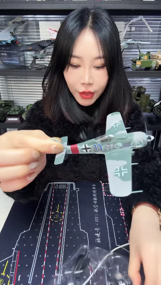 FW190飞机模型13号