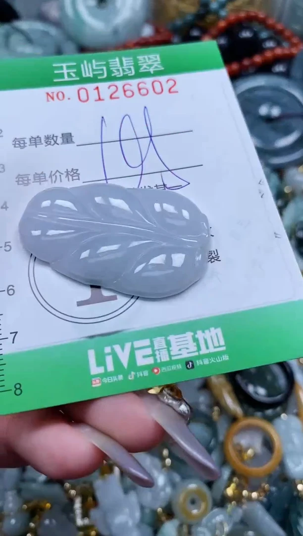 翡翠未镶嵌颈饰闪购0126602