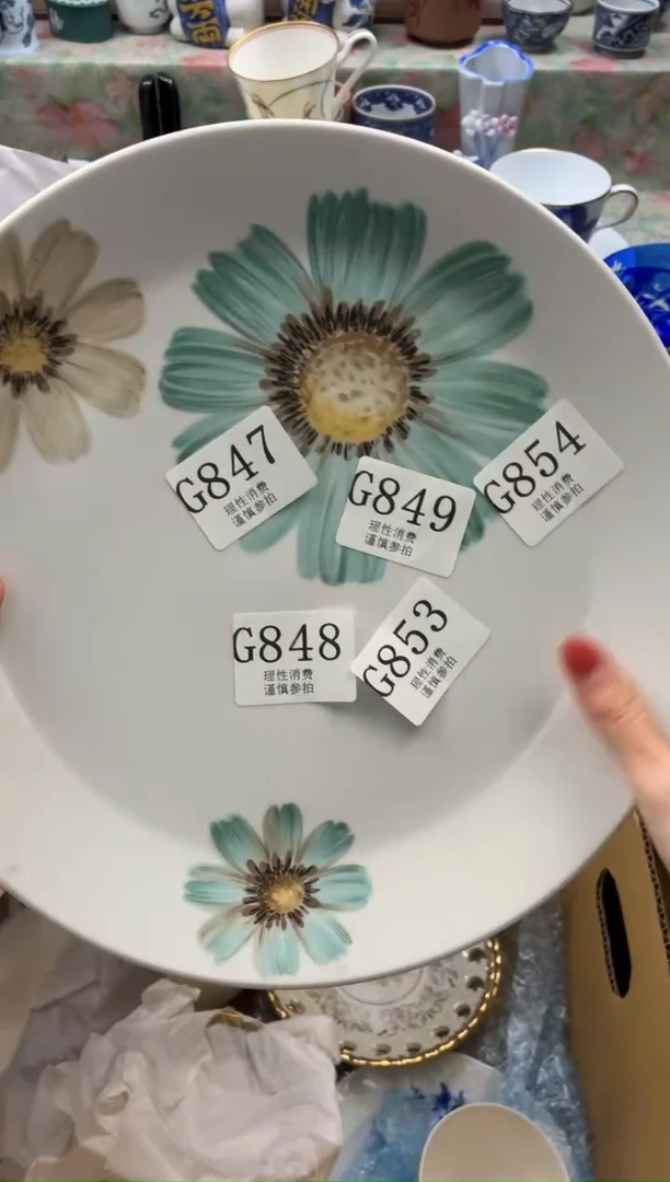 瓷片       G854