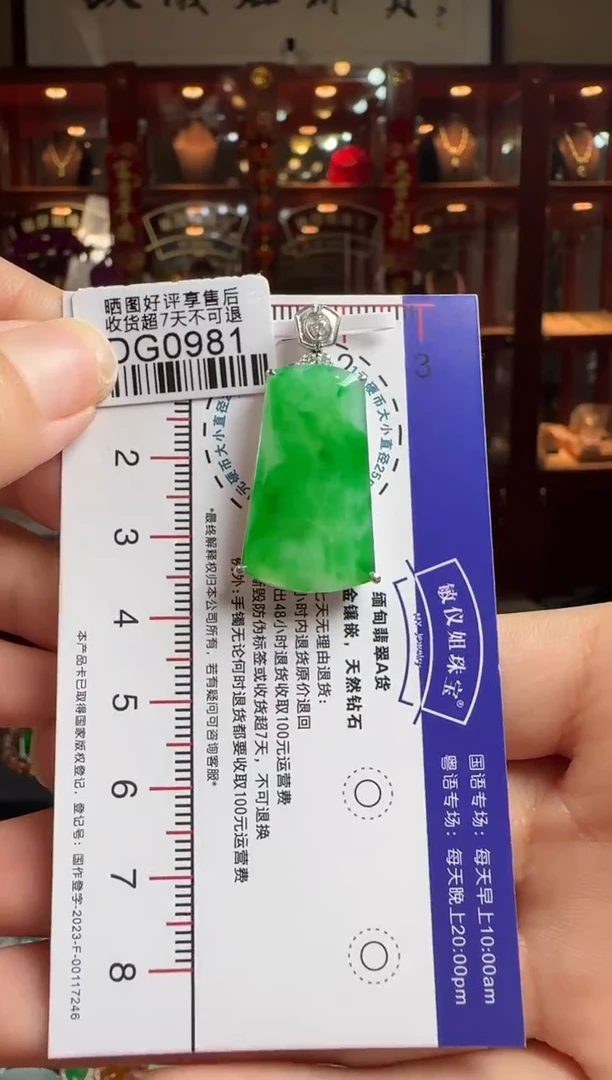 【闪购商品】翡翠颈饰18K金镶嵌DG0981冰绿无事牌