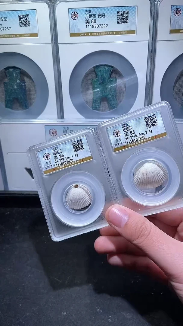 【闪购商品】铜历代 蛤蜊贝85分一枚