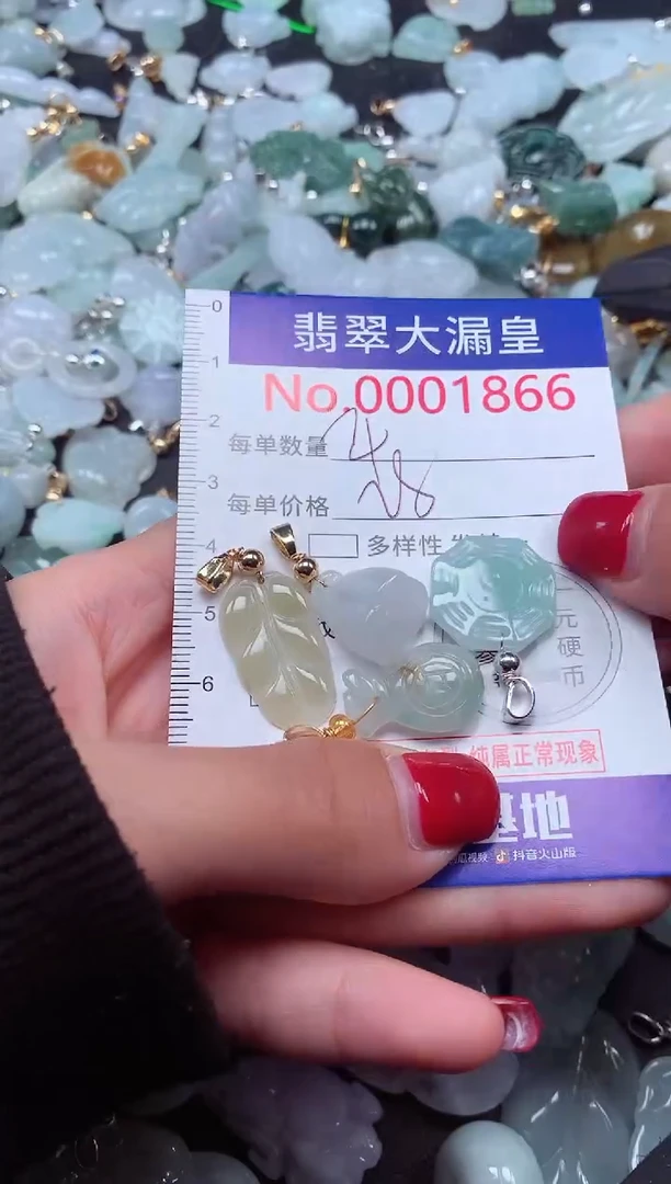 颈饰未镶嵌翡翠1866