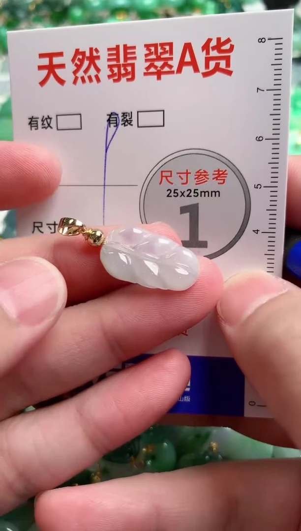 翡翠未镶嵌颈饰24001956