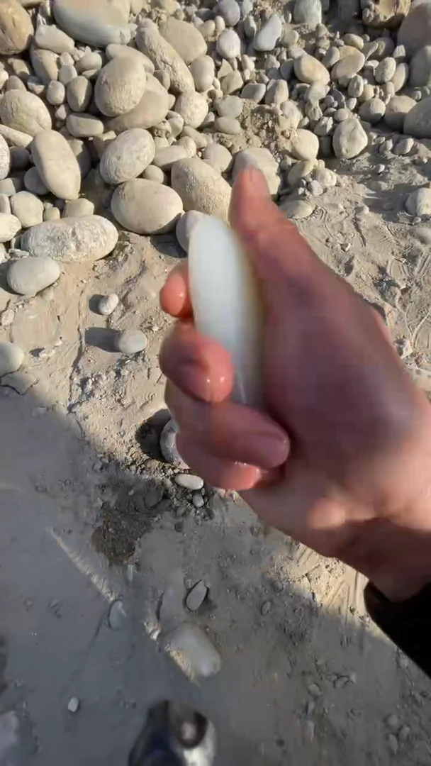 颈饰未镶嵌和田玉（糖玉）001