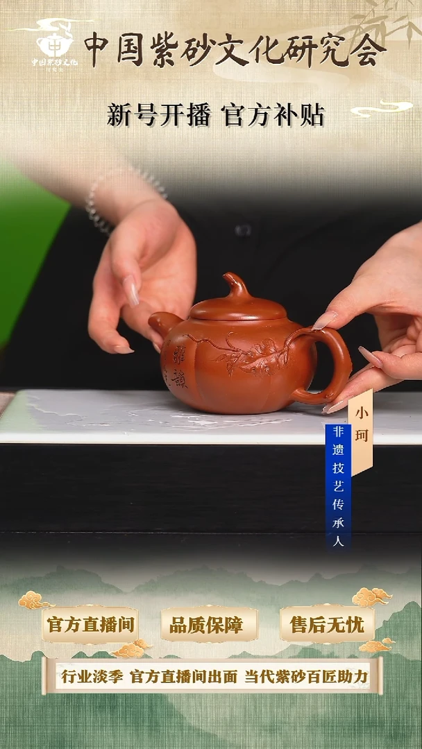 茶壶紫砂陶茶文化鲍  大红袍300cc左右