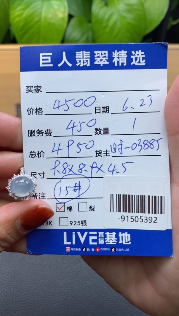 翡翠18K金镶嵌颈饰多人-91505392