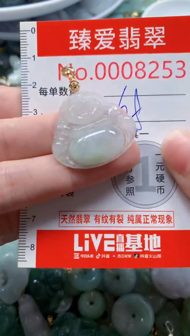 翡翠未镶嵌吊坠(不含链)8253