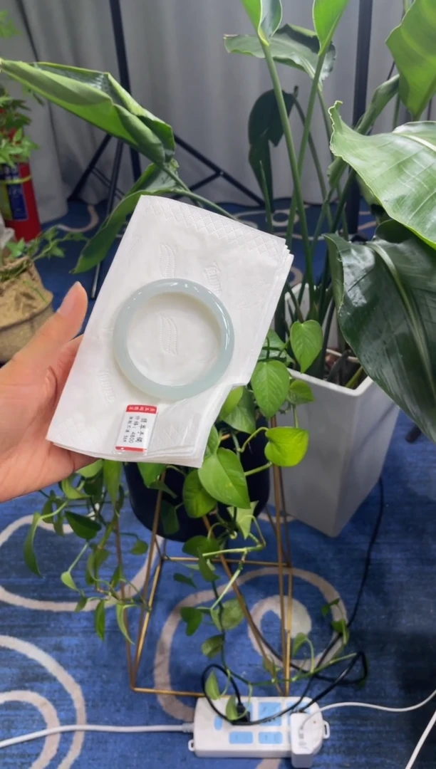 未镶嵌手镯翡翠4540****