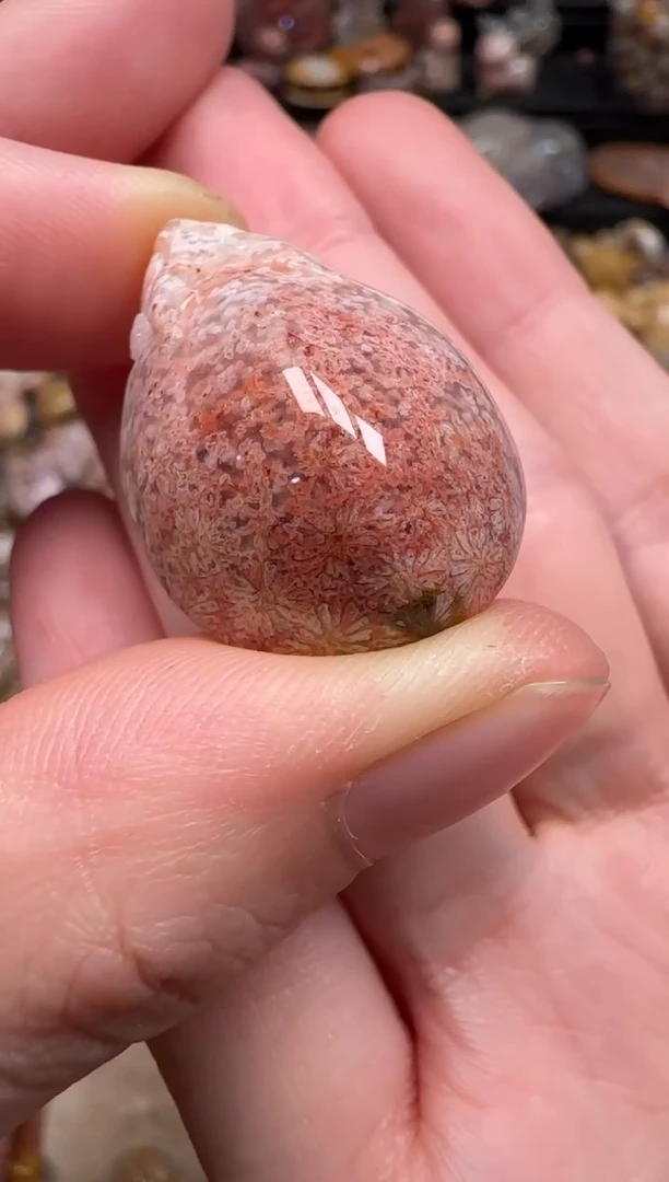 硅化珊瑚（珊瑚玉）未镶嵌颈饰129