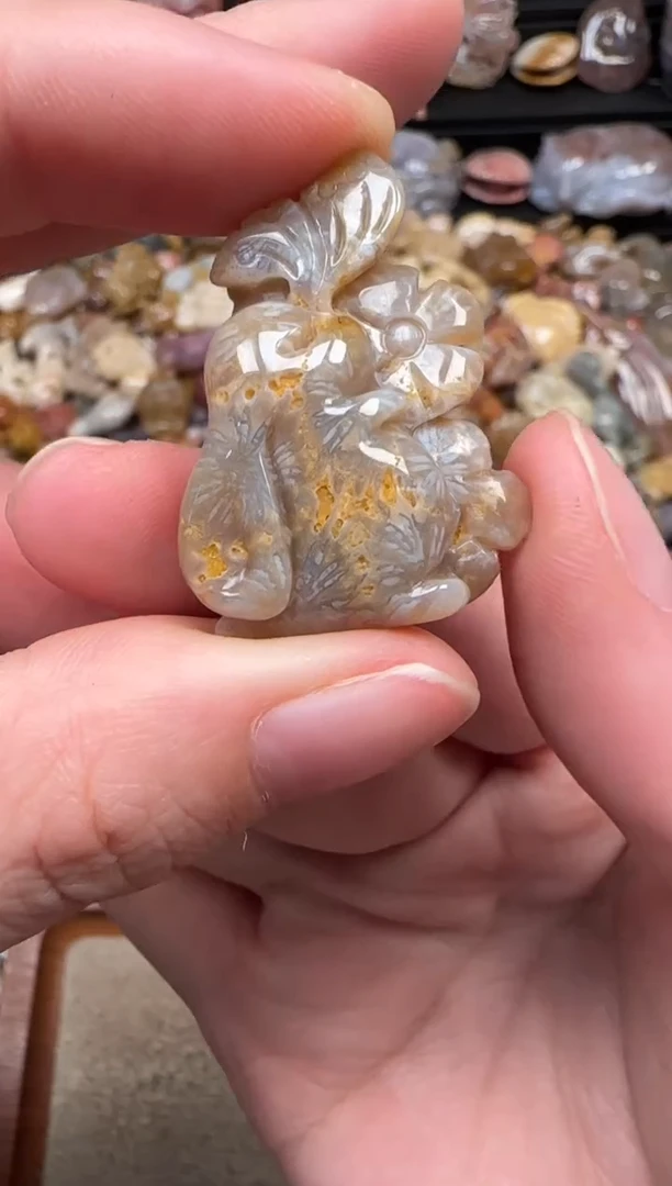 颈饰未镶嵌硅化珊瑚（珊瑚玉）528