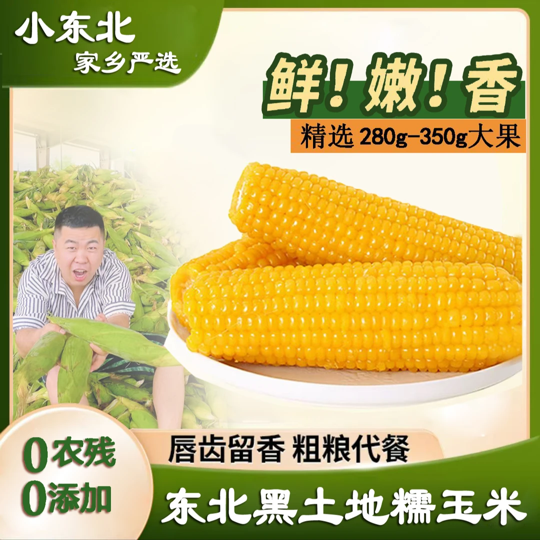 东北软糯黄玉米280克-350克整箱8斤12棒支持2棒试吃