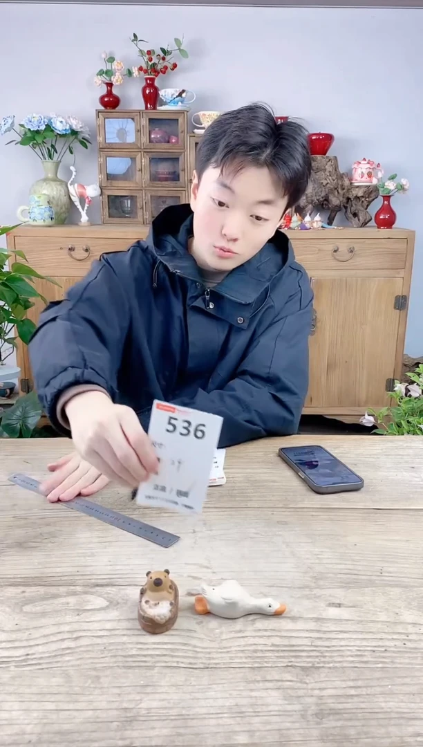 晴好园艺直播编号536