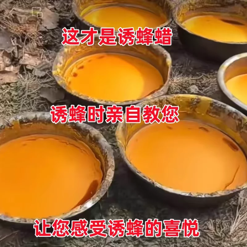 蜂蜡养蜂蜜蜂诱蜂中蜂专用蜂蜡不是意蜂蜂蜡也不是工业蜡中蜂蜂蜡