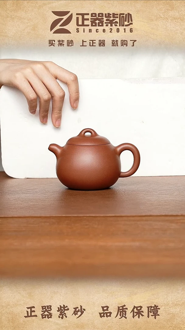 茶壶紫砂温可嘉 匏瓜 紫泥 270cc内推