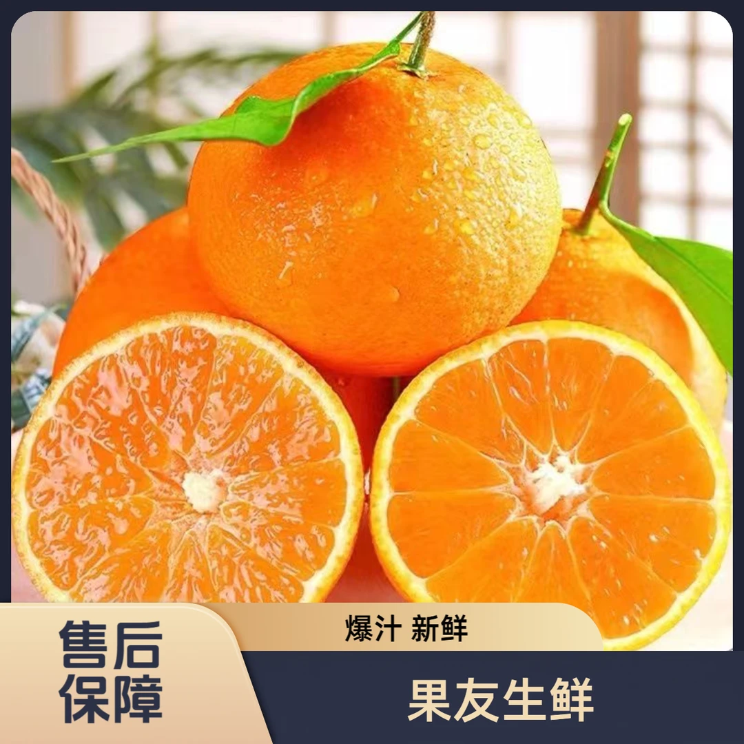 【爱媛果冻橙】特大果 爆汁新鲜 净果5斤/1份  太原晋中吕梁拍