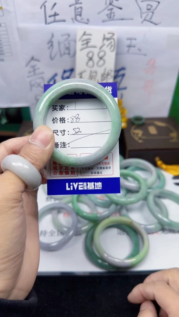 未镶嵌手镯翡翠1