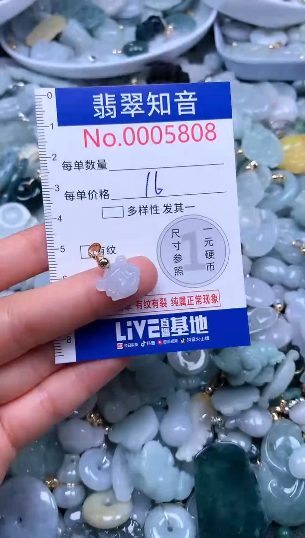 翡翠未镶嵌吊坠(不含链)5808