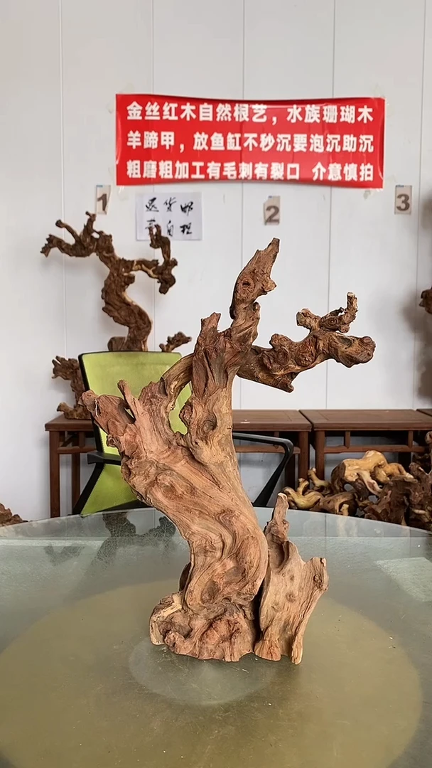 香榧木?****?金丝红木 羊蹄甲
